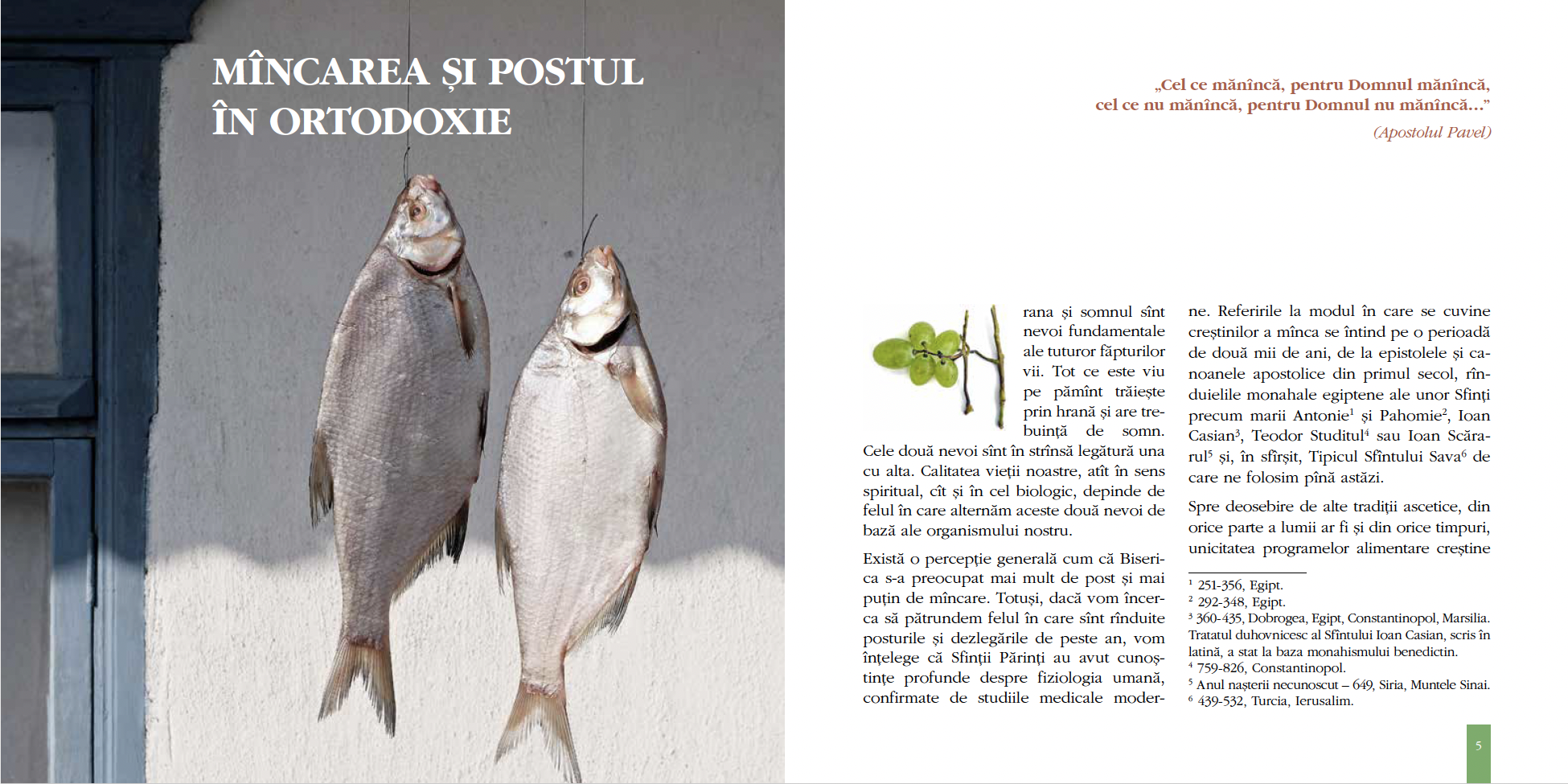 Captură de ecran din 2023-01-19 la 19.44.33