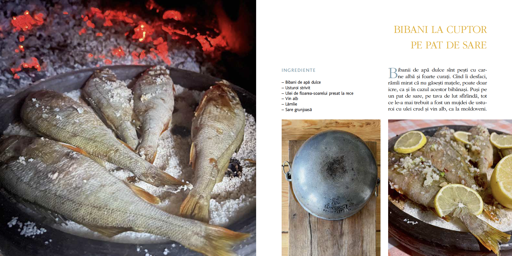 Captură de ecran din 2023-01-19 la 19.45.43