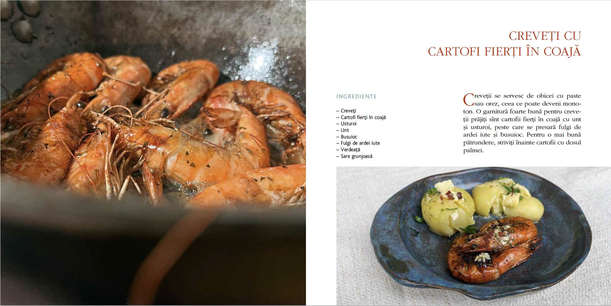 Captură de ecran din 2023-01-19 la 19.47.02