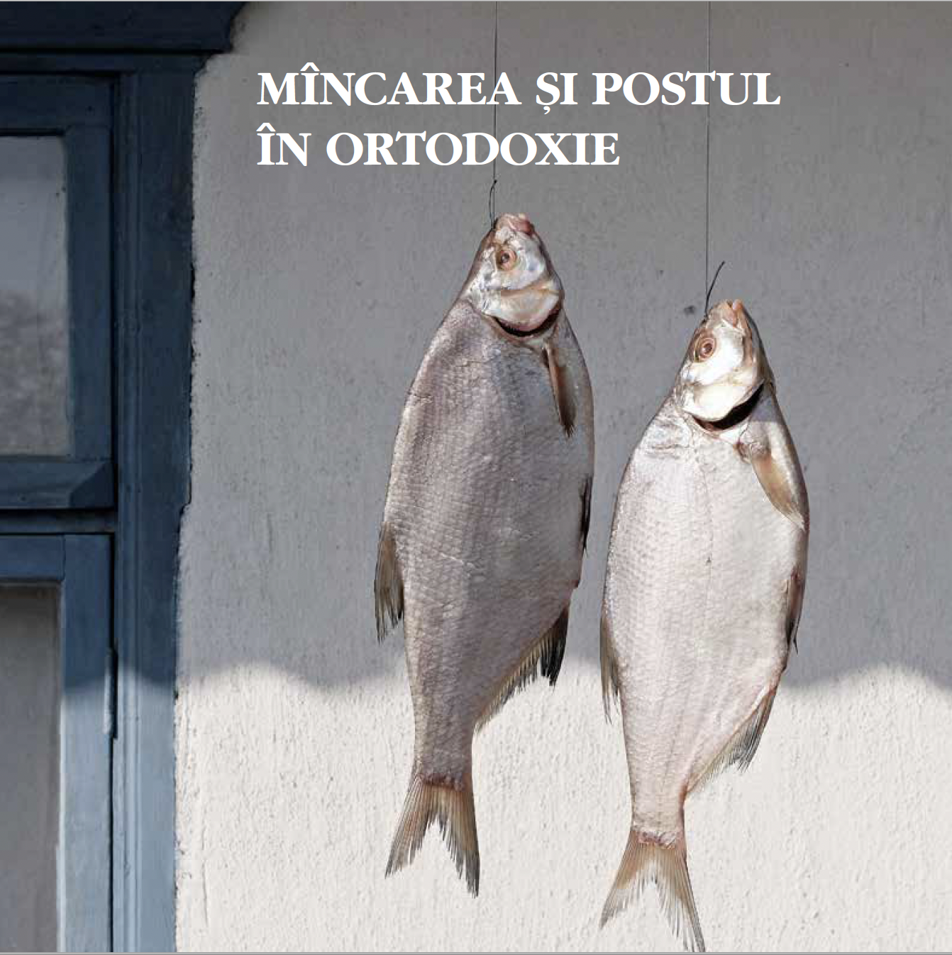 Captură de ecran din 2023-01-20 la 01.21.27