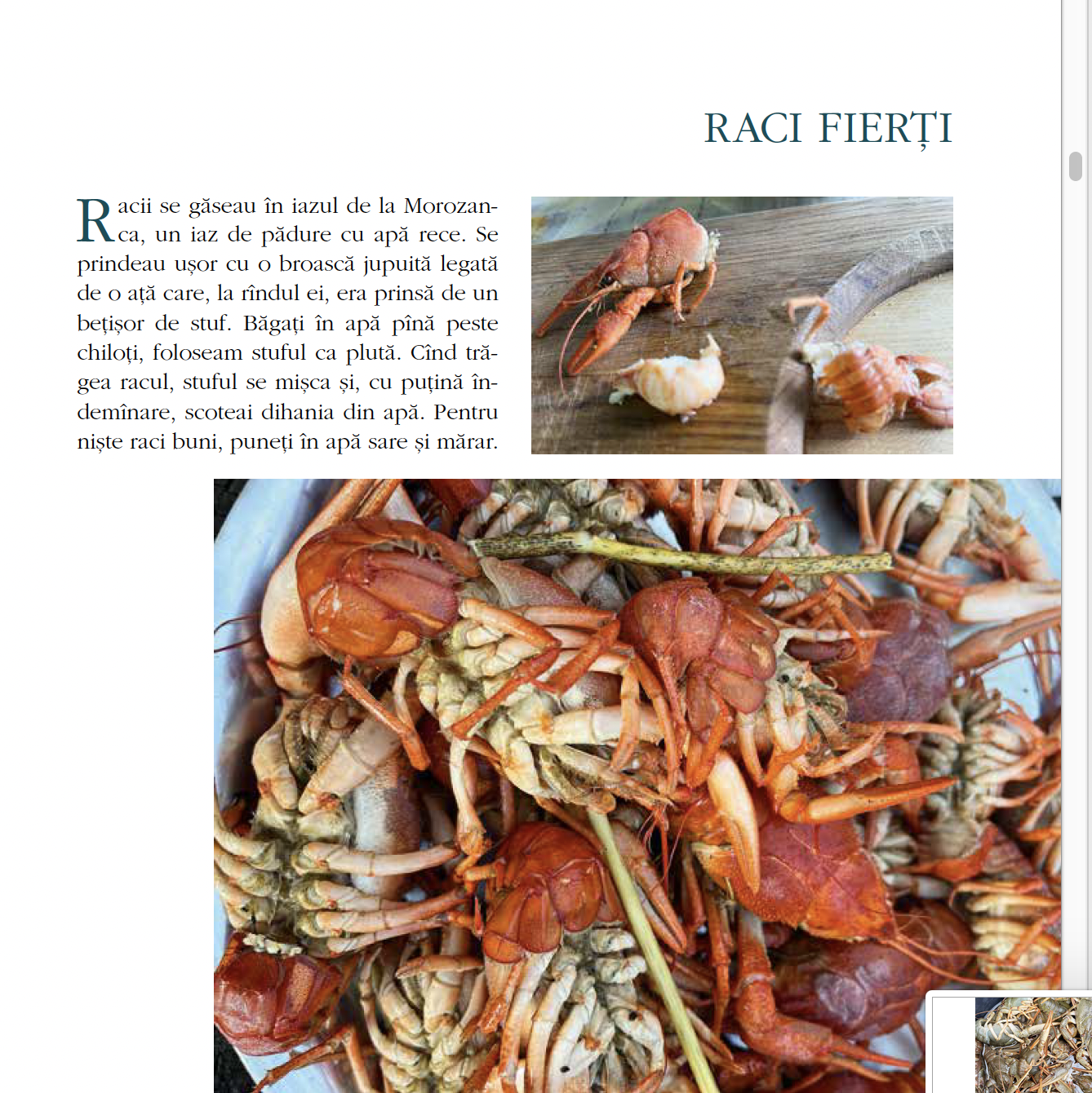 Captură de ecran din 2023-01-20 la 01.22.09