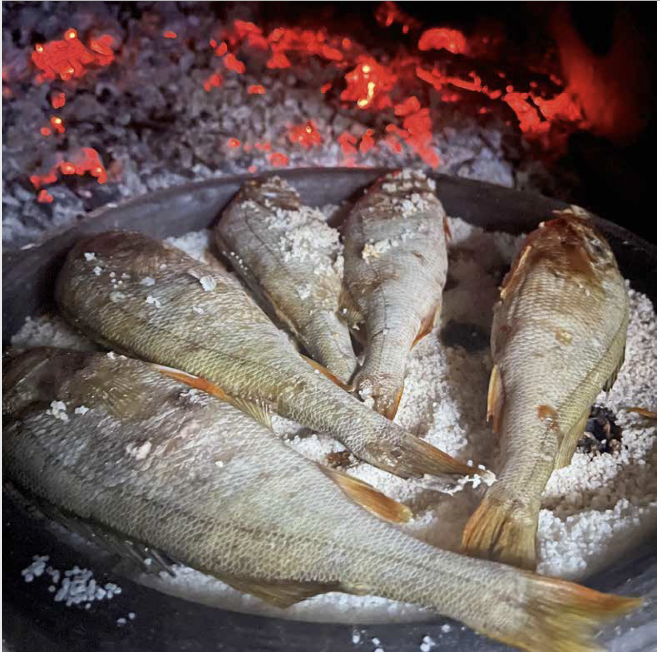 Captură de ecran din 2023-01-20 la 01.23.09